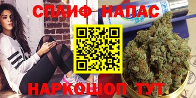 ешки Будённовск
