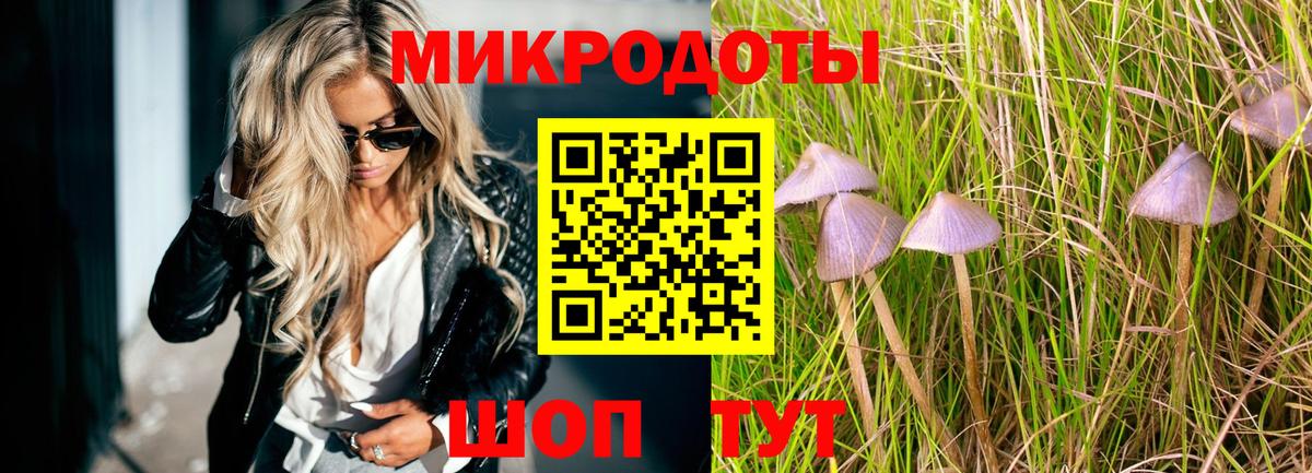 Псилоцибиновые грибы Cubensis Канск